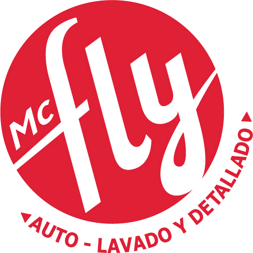 Logo McFly
